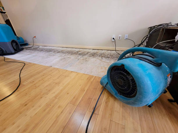 Professional Structural Drying technician working in Henry, TN